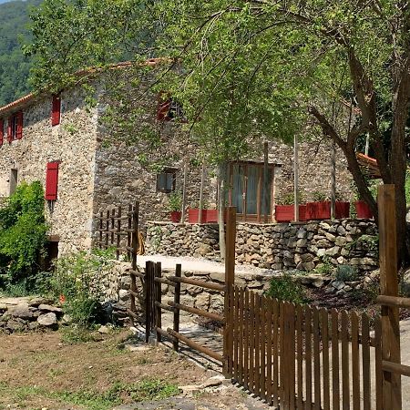Mas Graffouil Apartment Пратс-де-Моло-ла-Прест Екстериор снимка