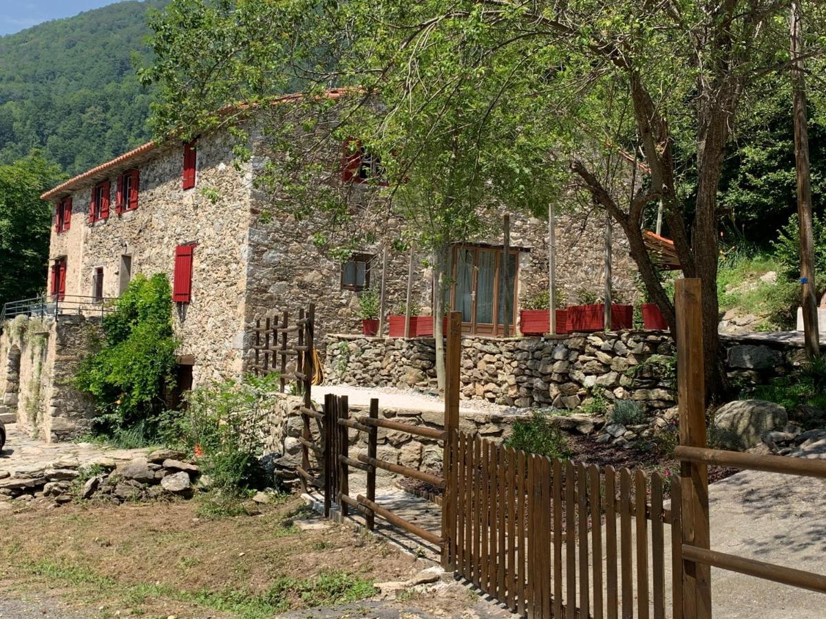 Mas Graffouil Apartment Пратс-де-Моло-ла-Прест Екстериор снимка